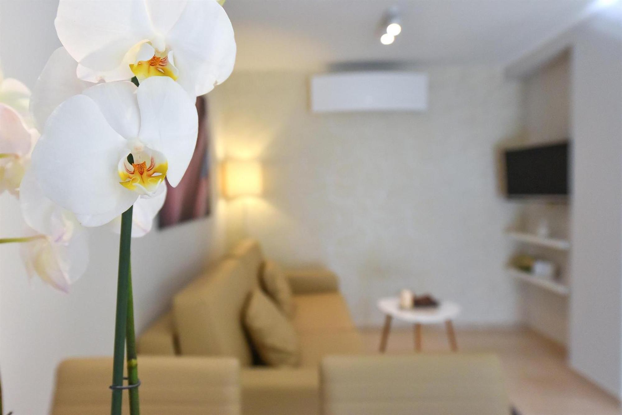 Villa Slavica 1 Vodice Quarto foto